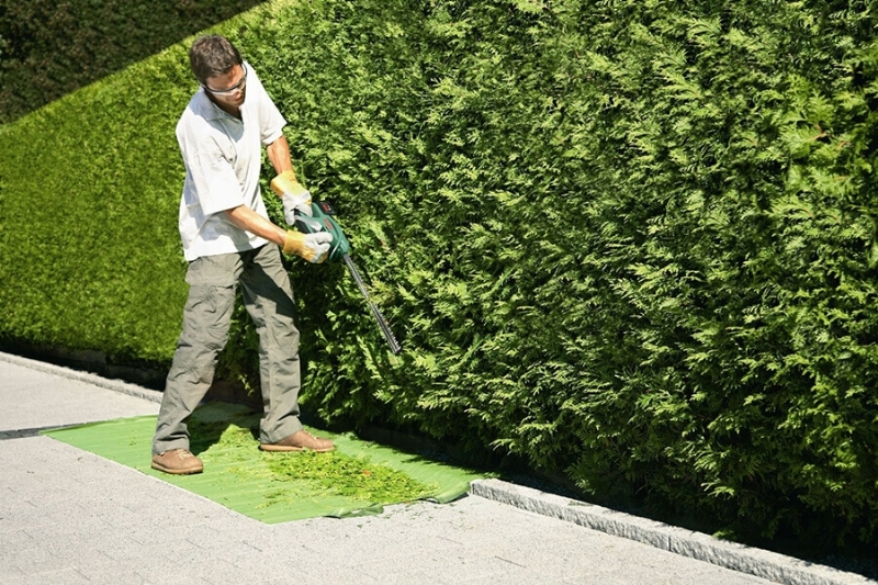 Salkım Konakları çevre temizliği ve bakımları yapılmaktadır