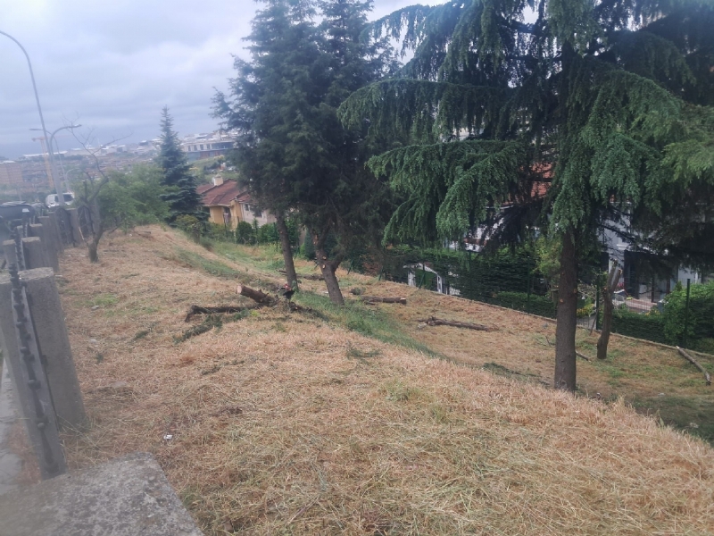 Salkım Konakları Sitesi Peyzaj budama ve temizlik işleri