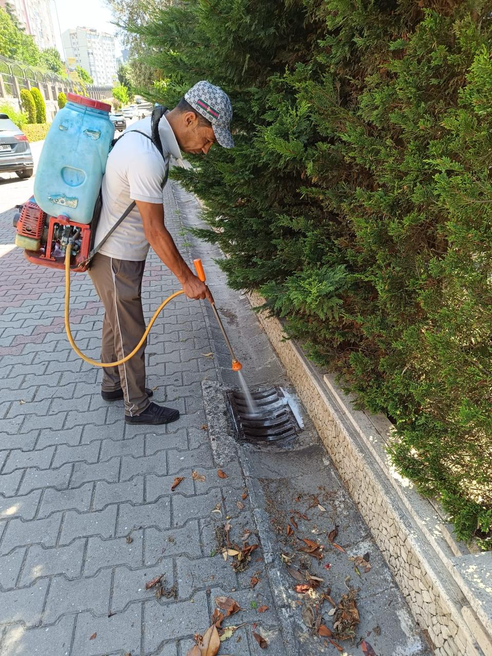 Böcek İlaçlama